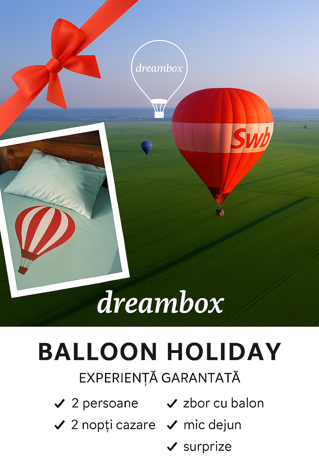Balloon Holiday